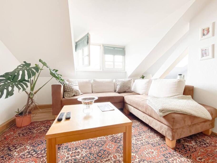 Schoene Ferienwohnung Mit Blick Ueber Stadtwald Λειψία Εξωτερικό φωτογραφία